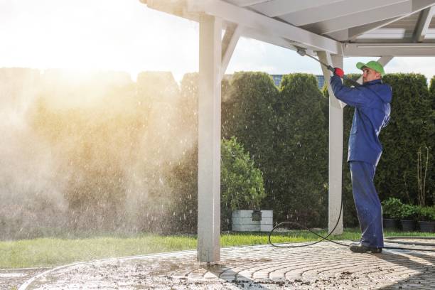 Best Driveway Cleaning and Restoration in Morgantown, PA
